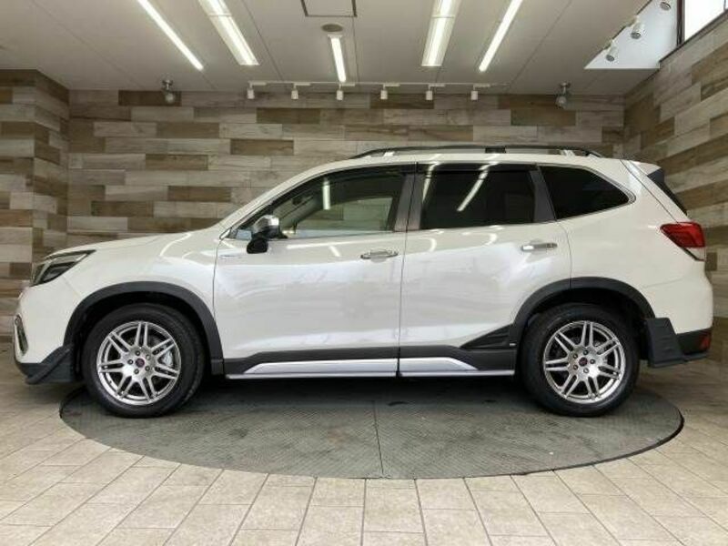 FORESTER