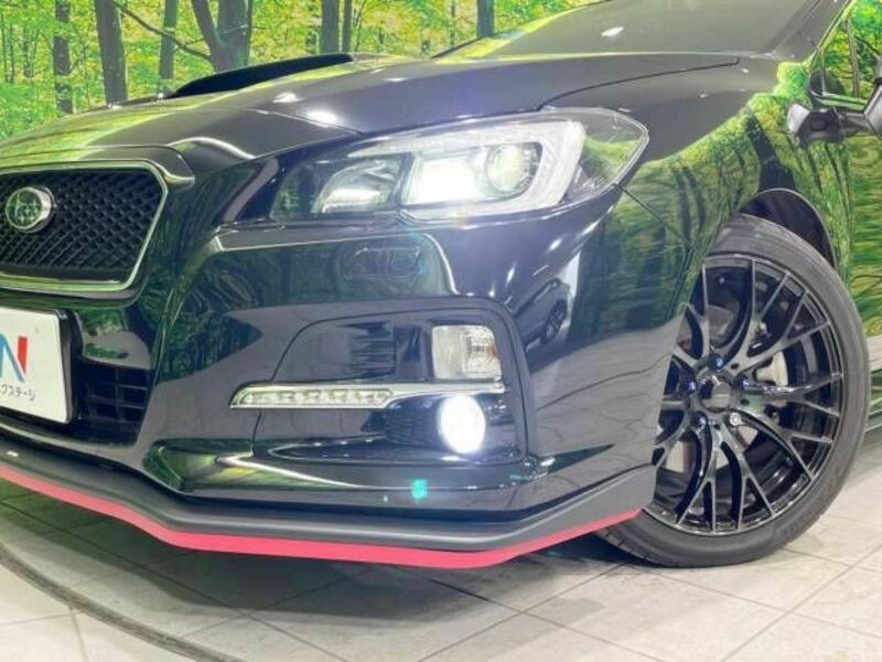LEVORG
