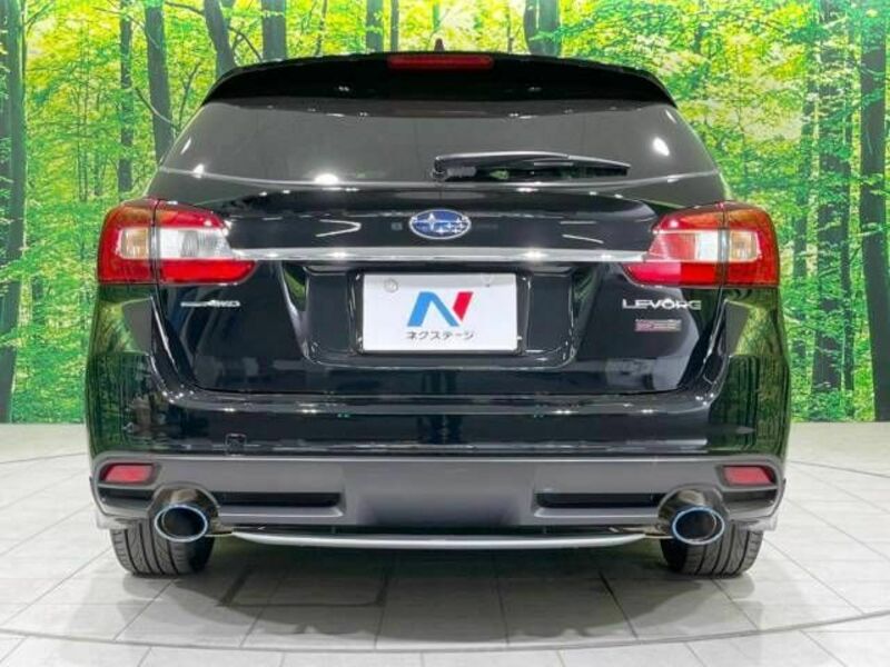 LEVORG