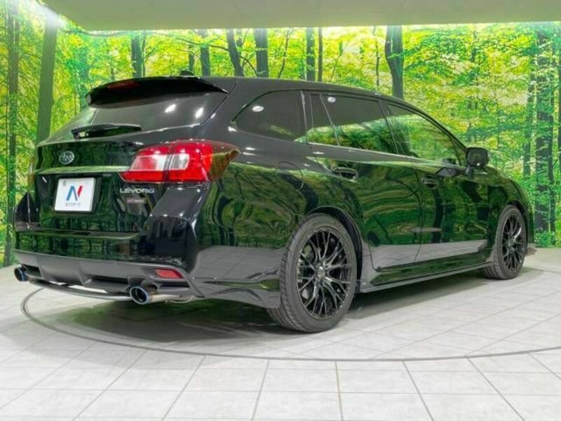 LEVORG