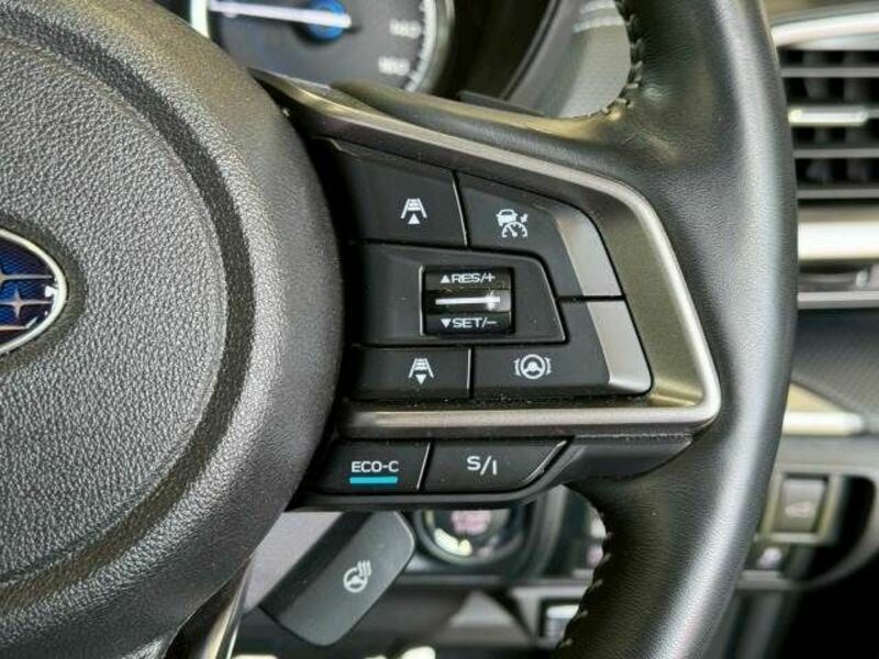 FORESTER-6