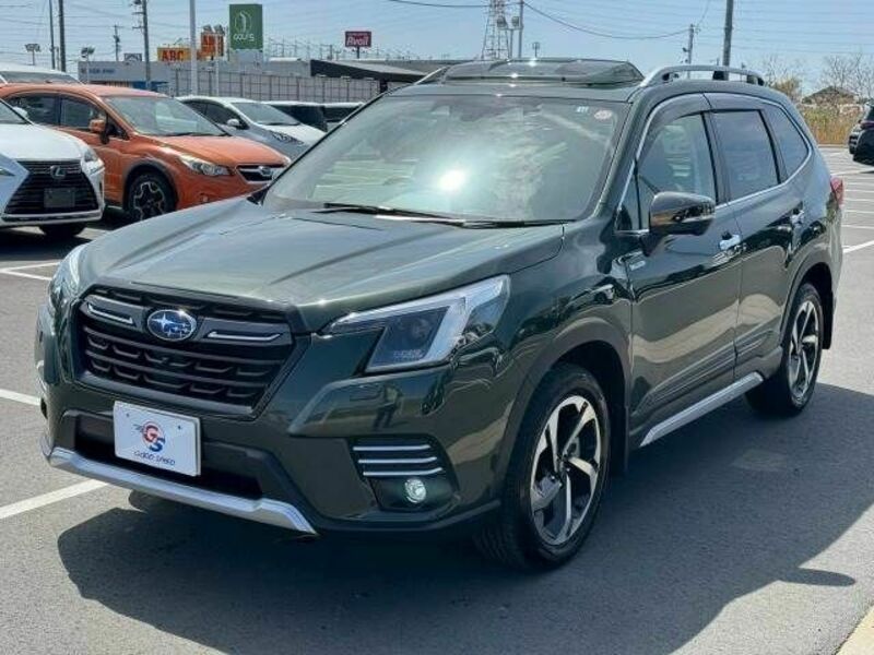 FORESTER-13