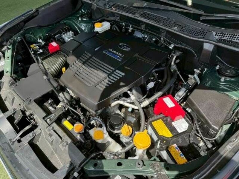 FORESTER-17