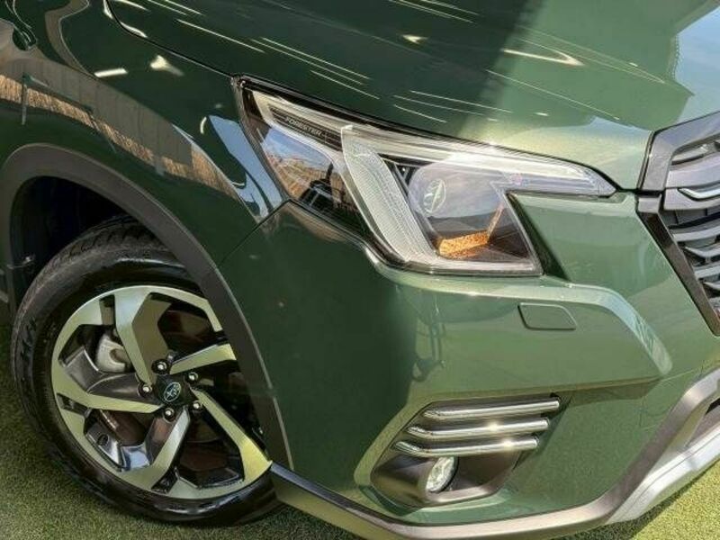FORESTER-19
