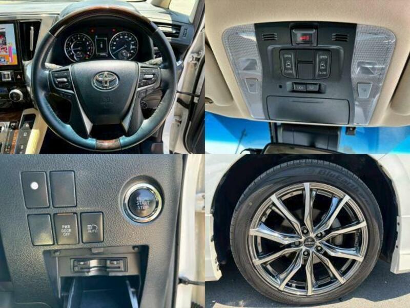 ALPHARD-6