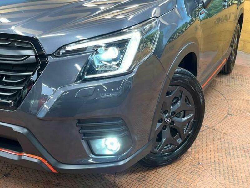 FORESTER