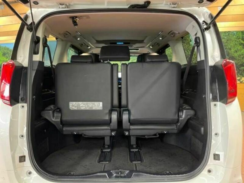 ALPHARD-10