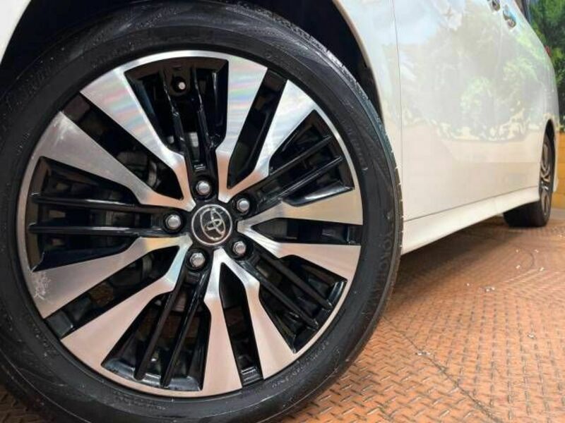 ALPHARD-11