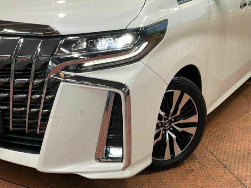 ALPHARD-12