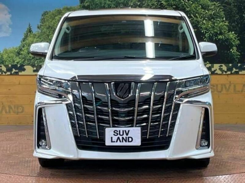 ALPHARD-13
