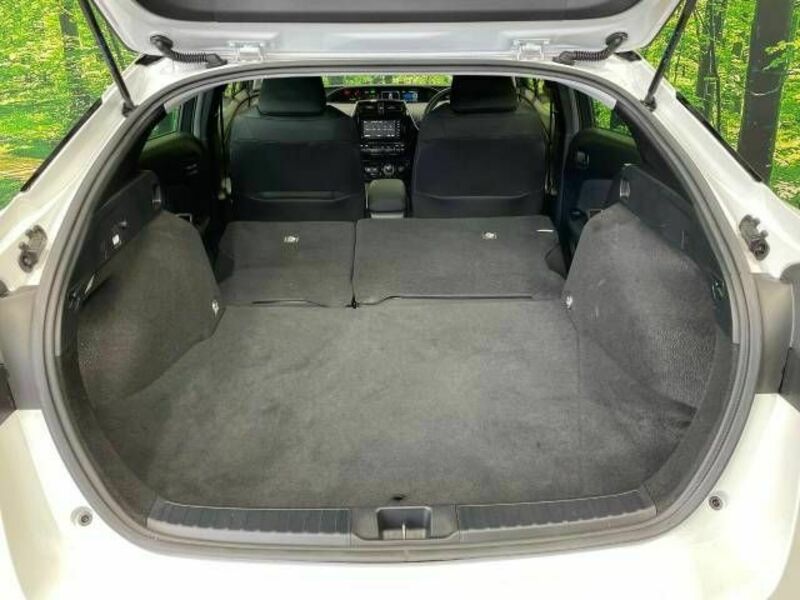 PRIUS-10