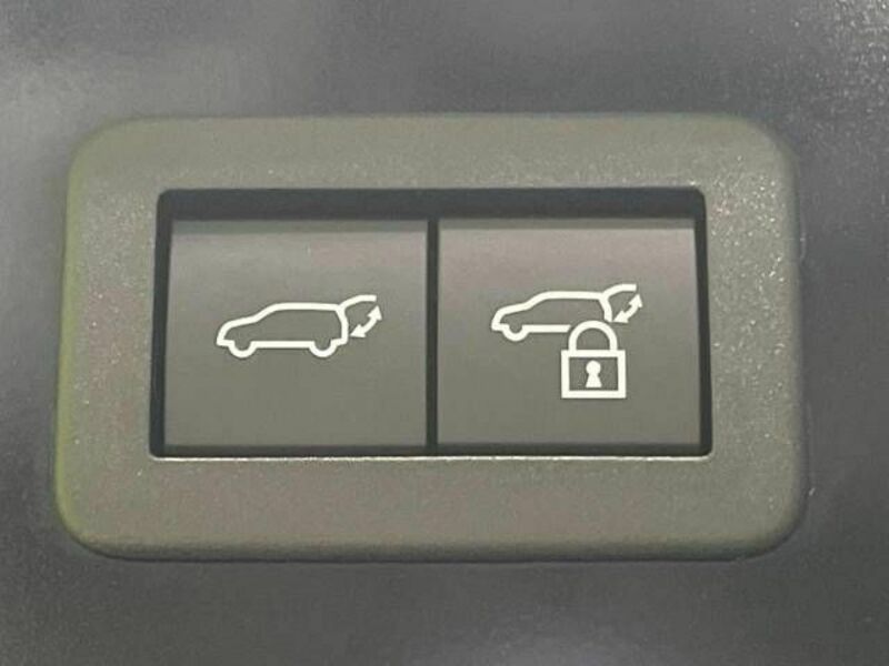 PRIUS-4