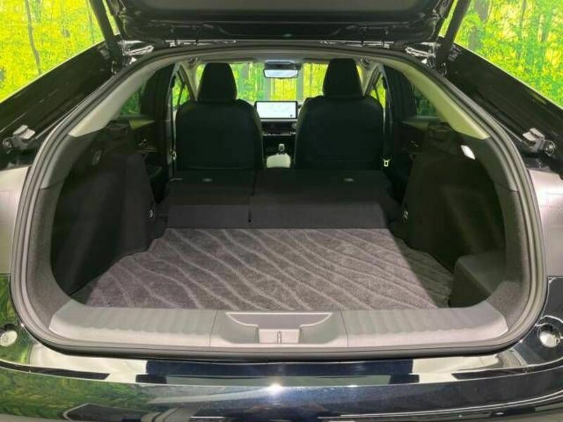 PRIUS-10