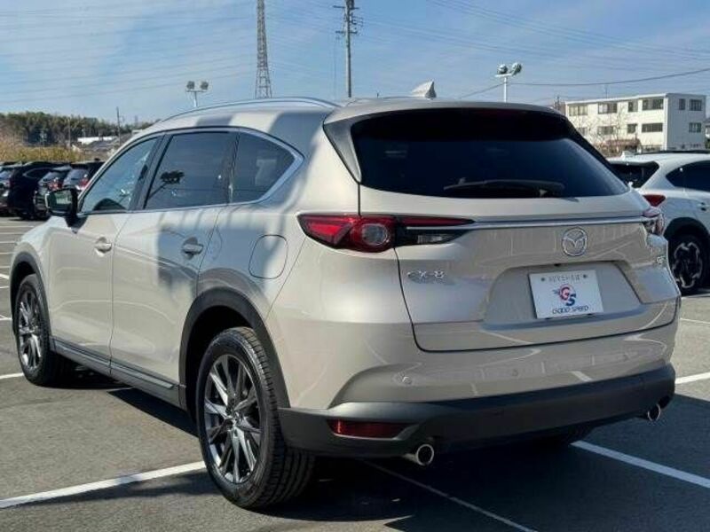 CX-8