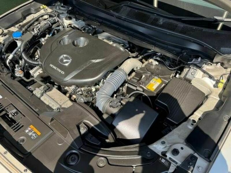 CX-8