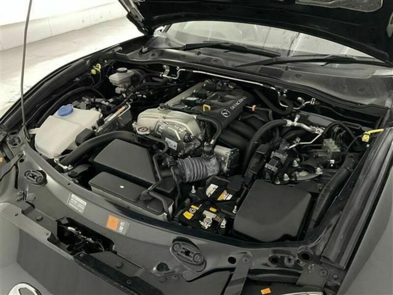 ROADSTER RF