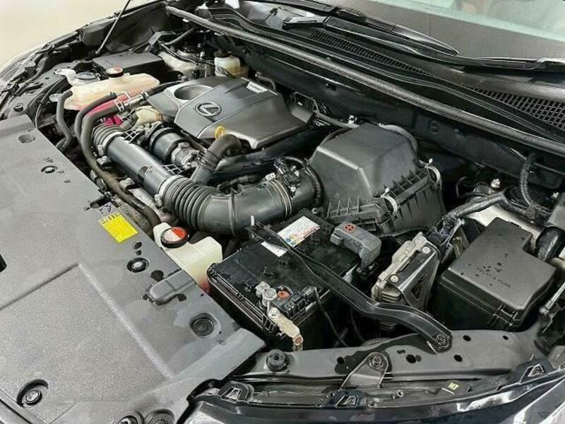 NX