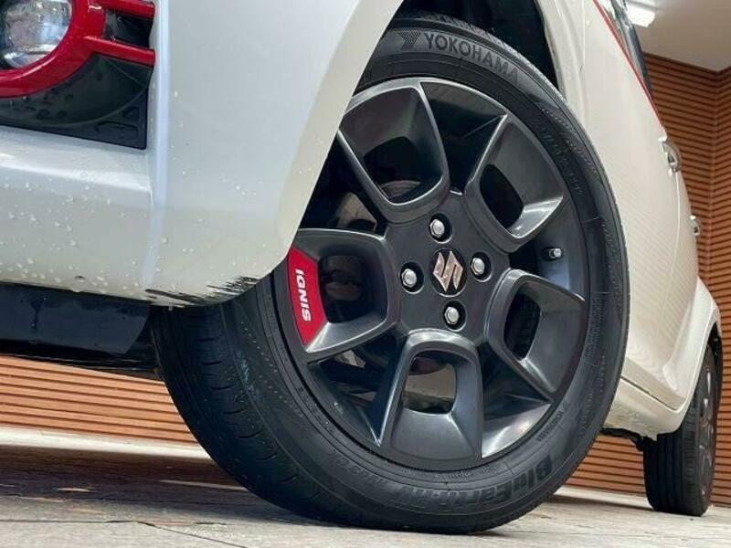 IGNIS-10