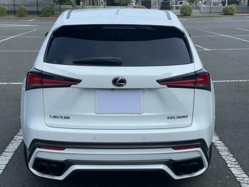 NX