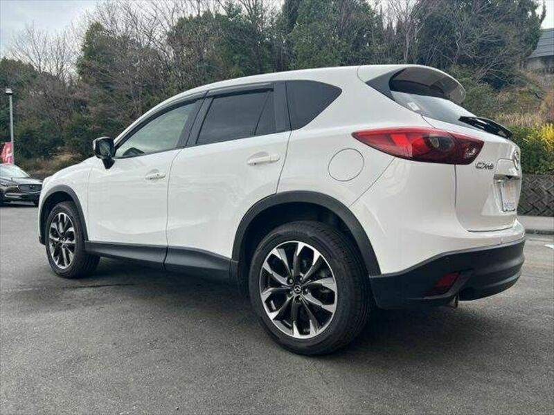 CX-5-16