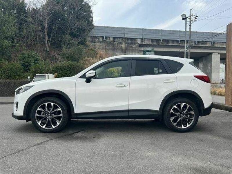 CX-5-17