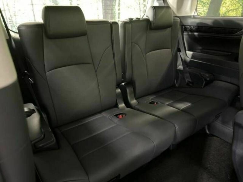 ALPHARD-10