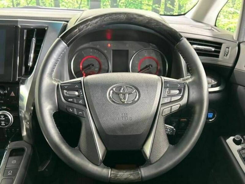 ALPHARD-12