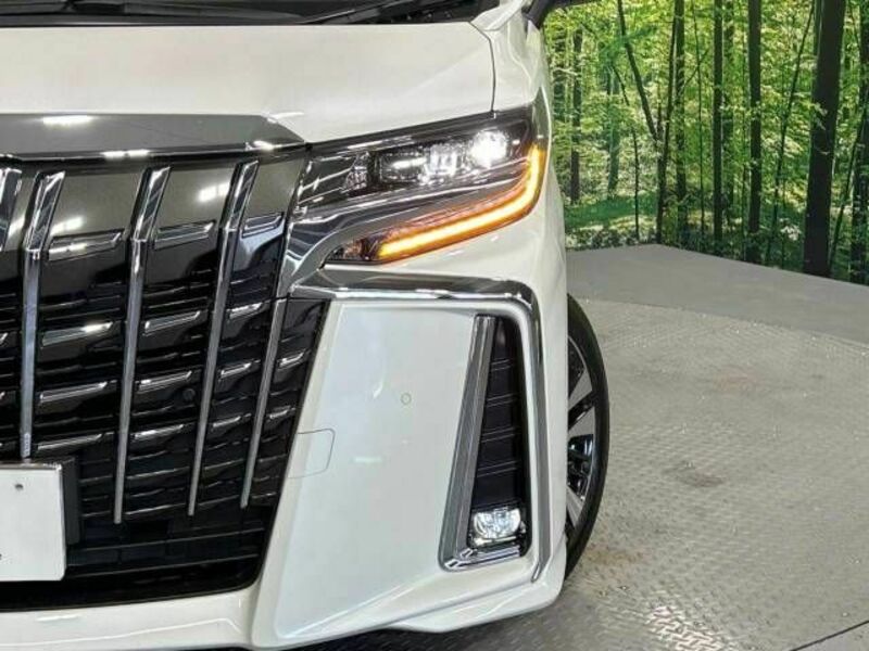 ALPHARD-13