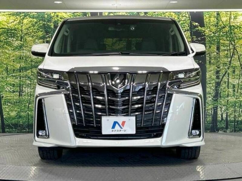 ALPHARD-15