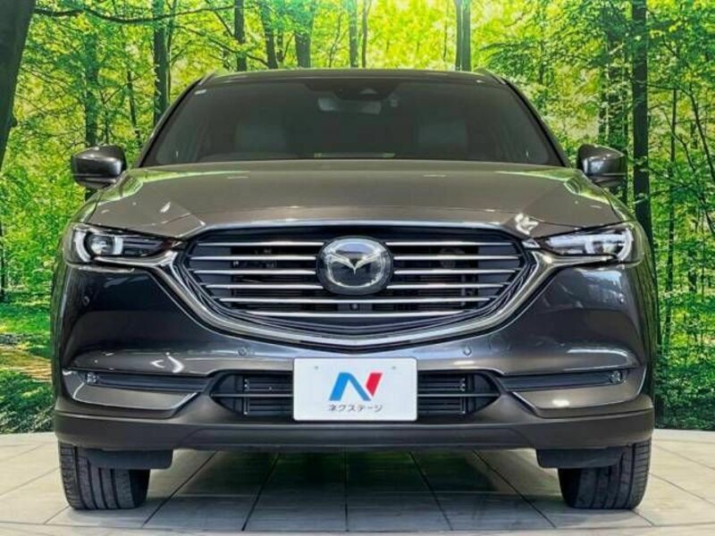 CX-8