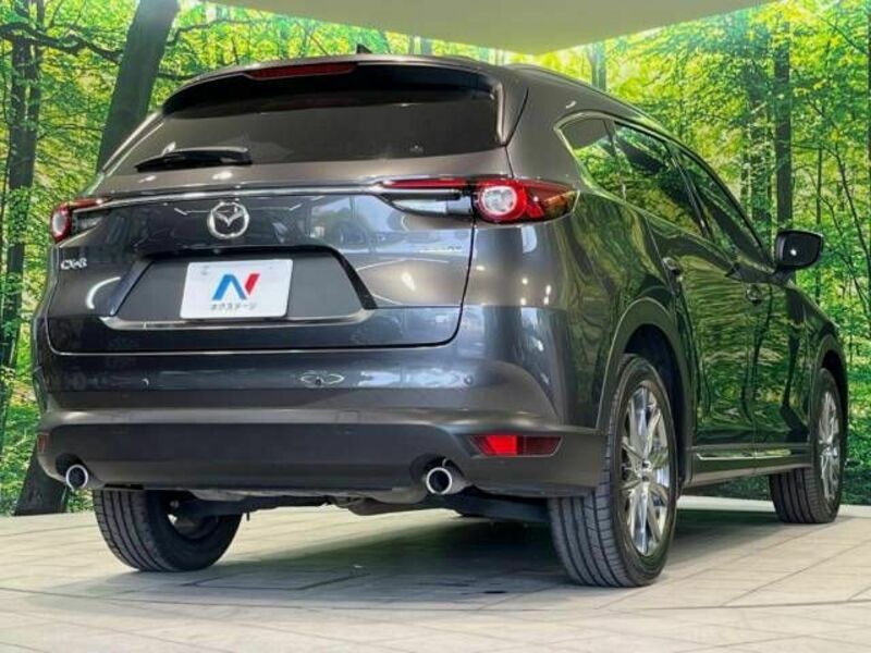 CX-8