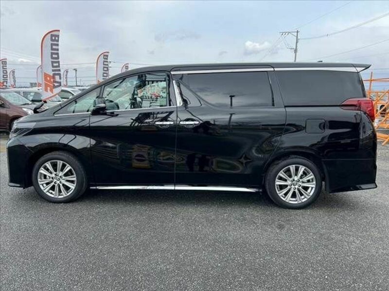 ALPHARD-10