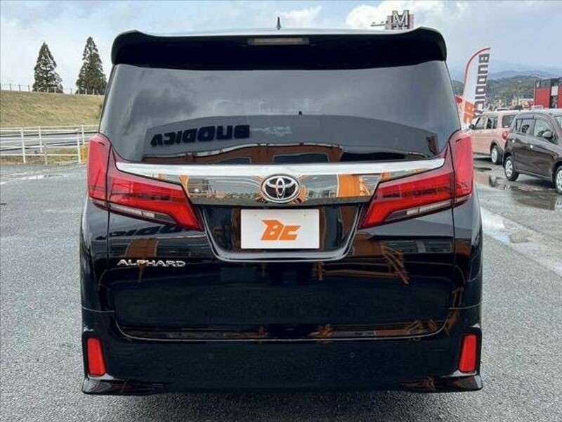 ALPHARD-13