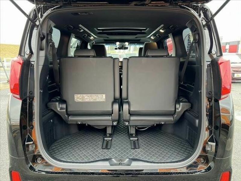 ALPHARD-19
