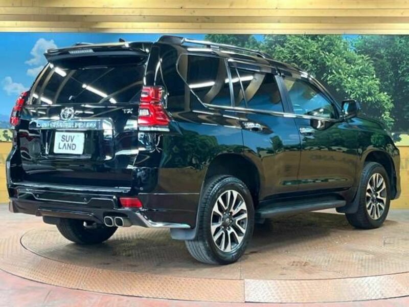 LAND CRUISER PRADO-18