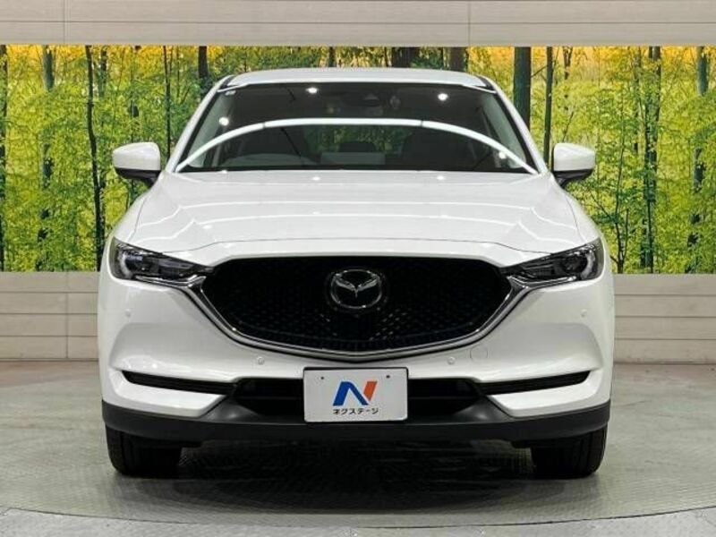 CX-5-13