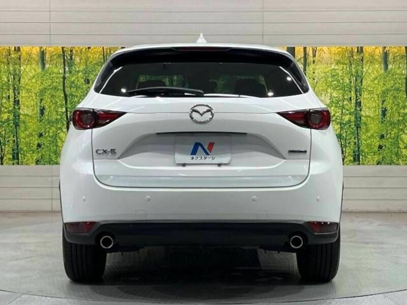 CX-5-14