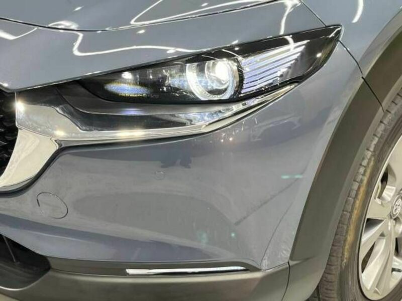 CX-30