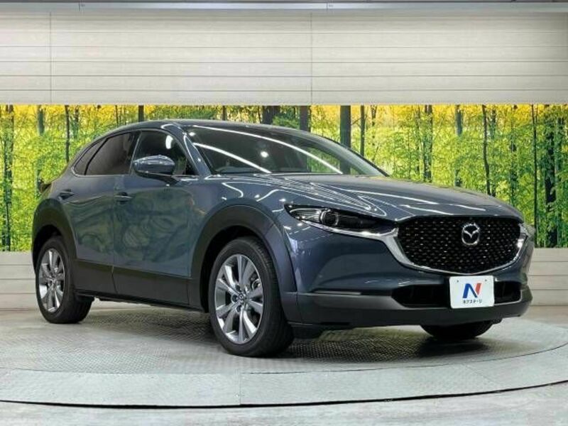 CX-30