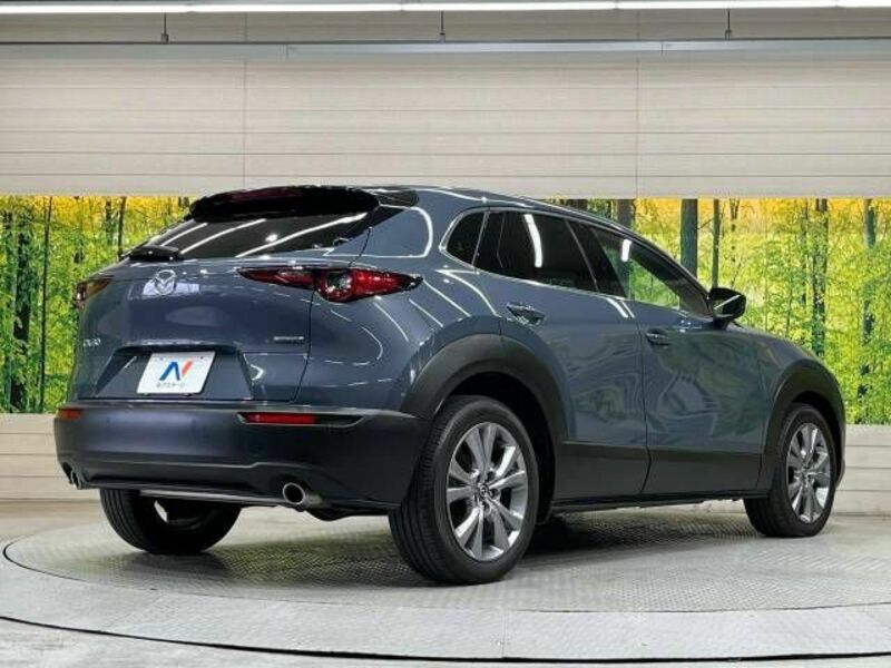 CX-30