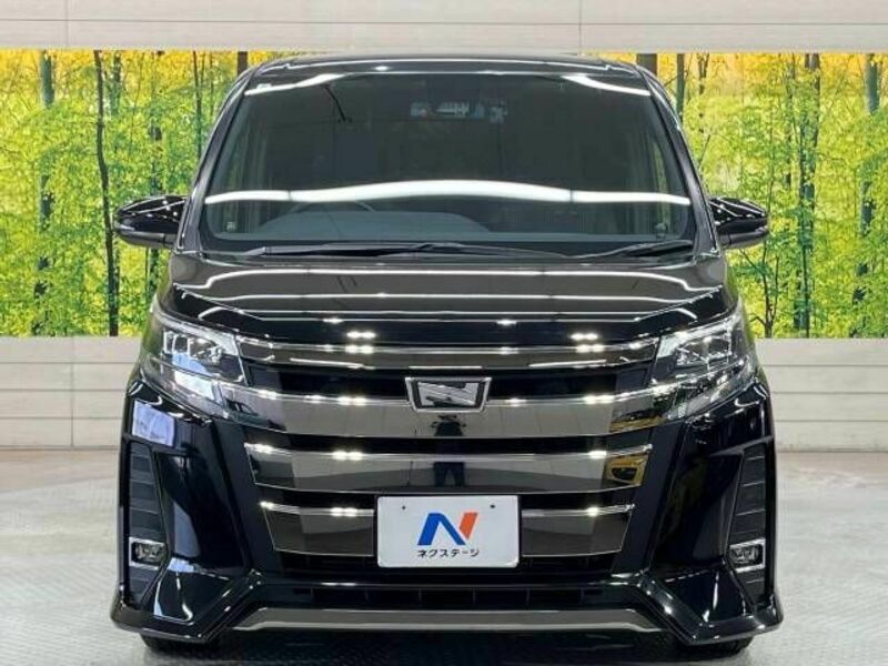NOAH-14