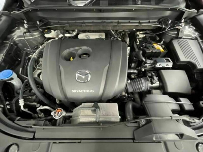 CX-5-17