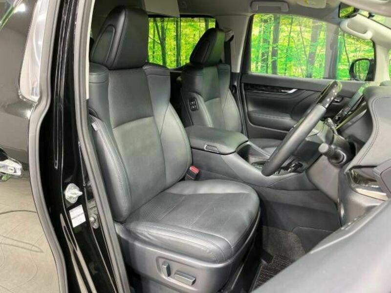 ALPHARD-10