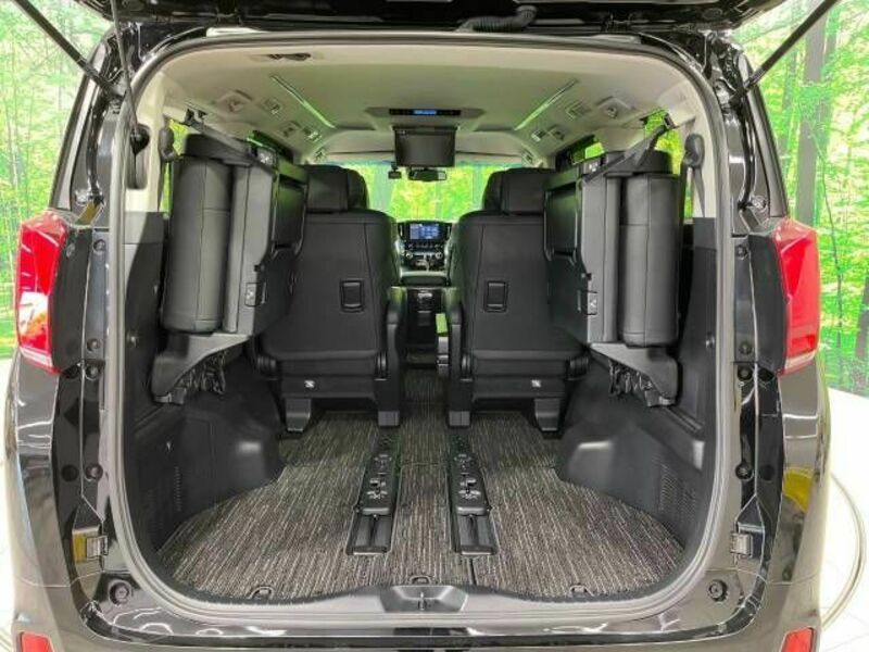 ALPHARD-13