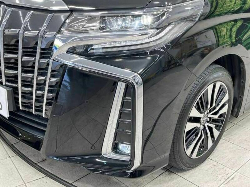 ALPHARD-15