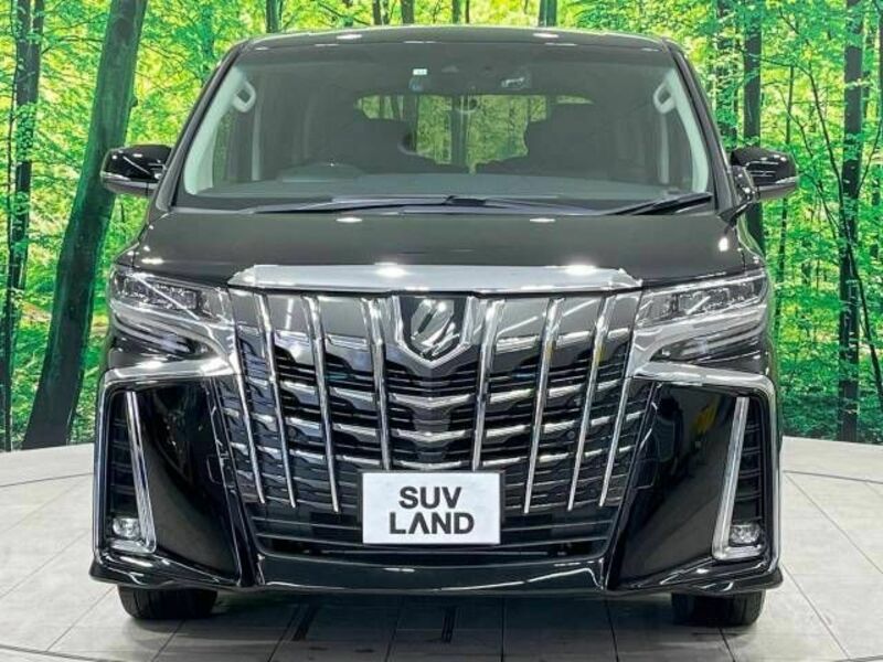 ALPHARD-17