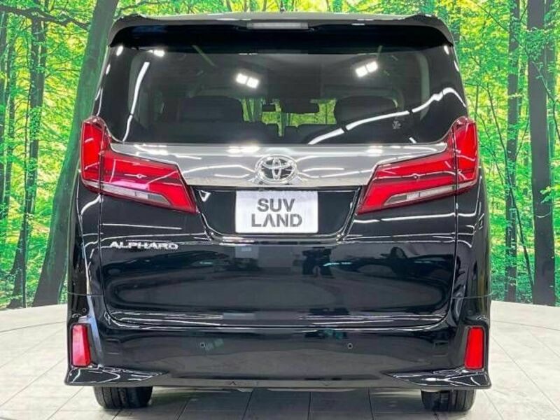 ALPHARD-18