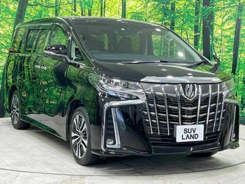 ALPHARD-19