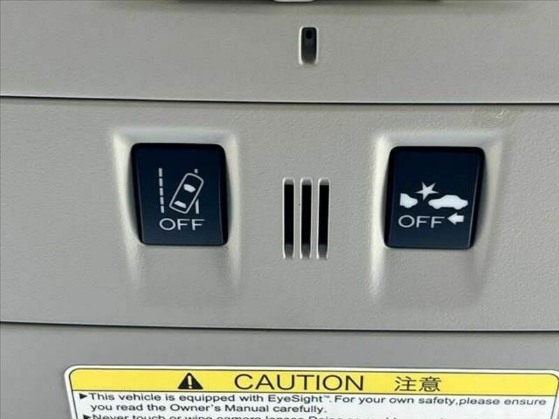LEVORG-2