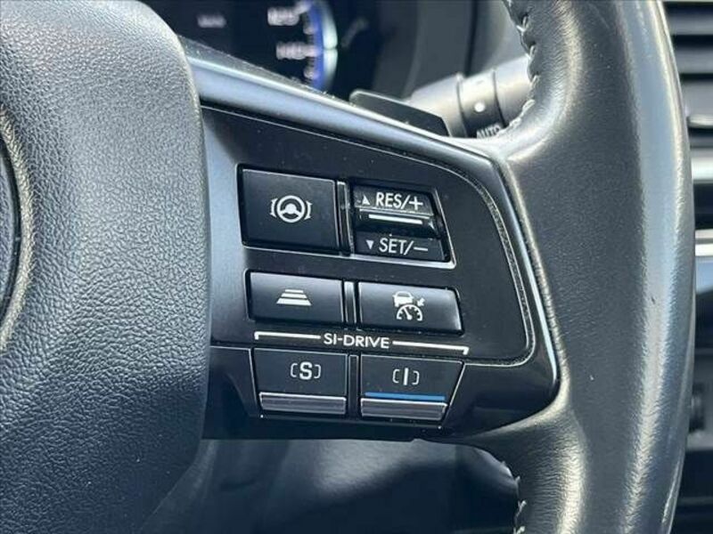 LEVORG-4